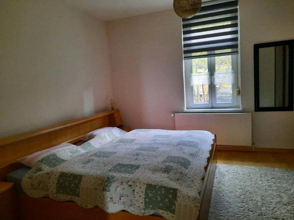 Ferienwohnung Emilia Gernrode  Exterior foto